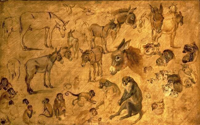 Study of Donkeys Jan Brueghel the Elder