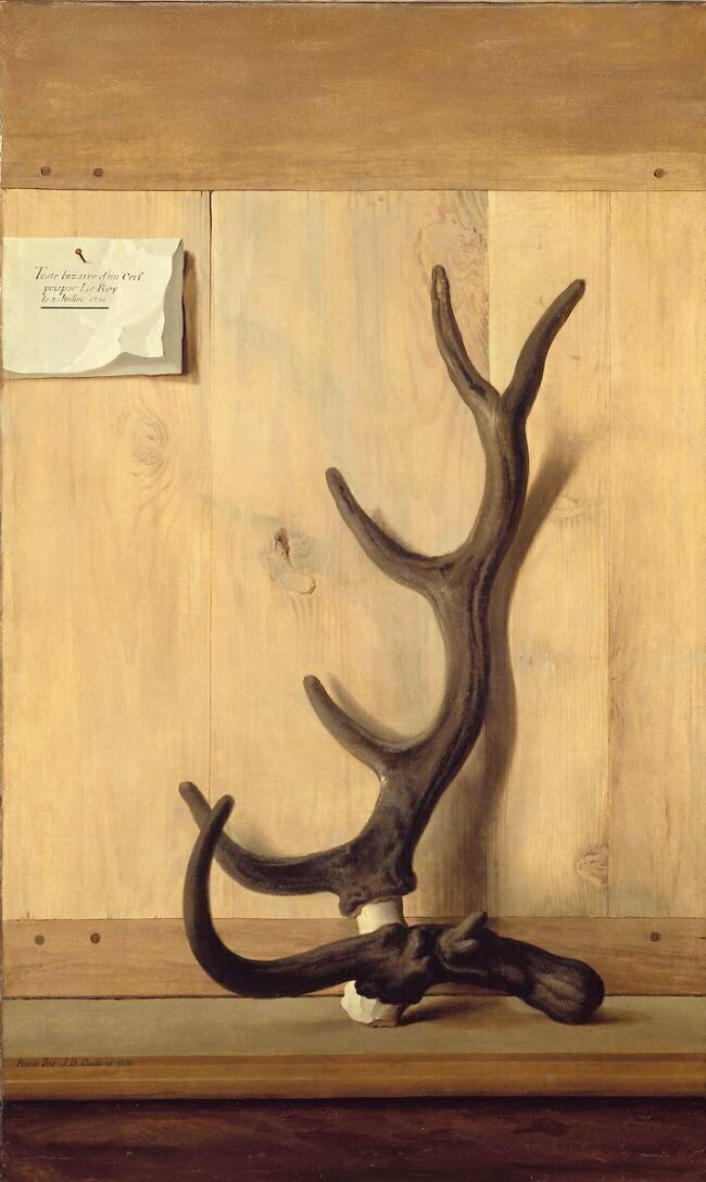 Bois du cerf bizarre sur un fond de planches Jean-Baptiste Oudry