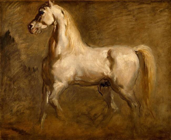 Cheval blanc de profil à gauche - Etude Théodore Chasseriau