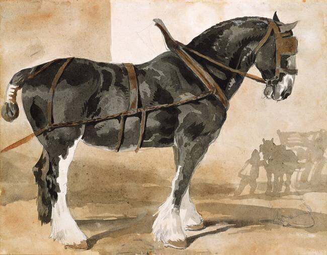 Cheval noir harnaché Théodore Géricault