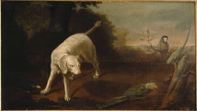Chien épagneul blanc et perroquet. Alexandre-François Desportes (école de)