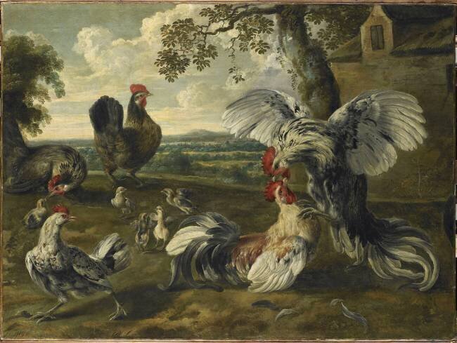 Combat de coqs et de poules Pieter van Boucle