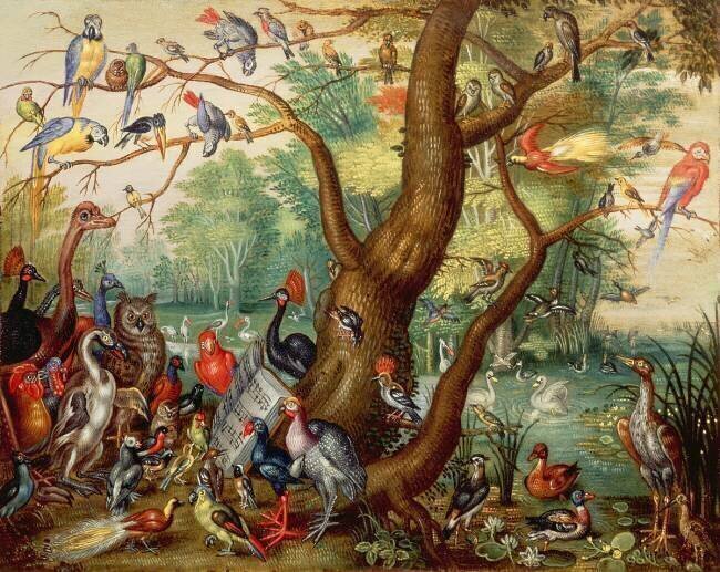 Concert d'oiseaux Jan van Kessel