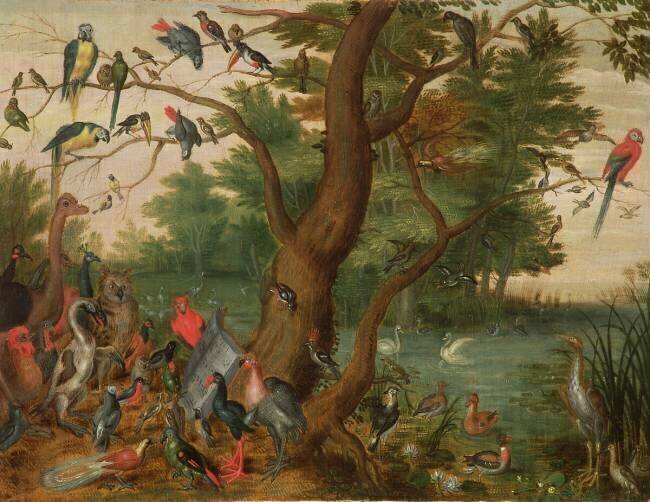 Concert d'oiseaux Jan van Kessel