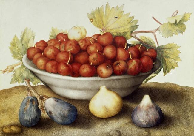 Coupe avec des cerises et des figues Giovanna Garzoni