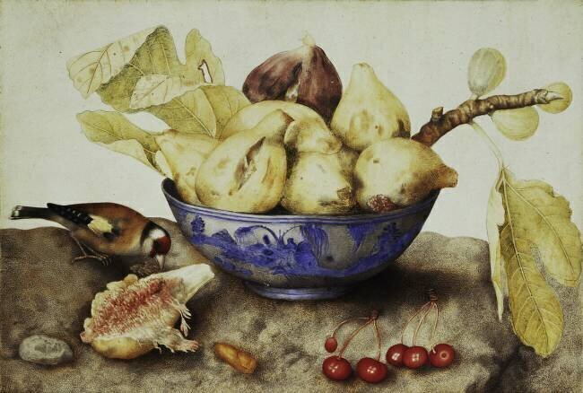 Coupe avec des figues Giovanna Garzoni