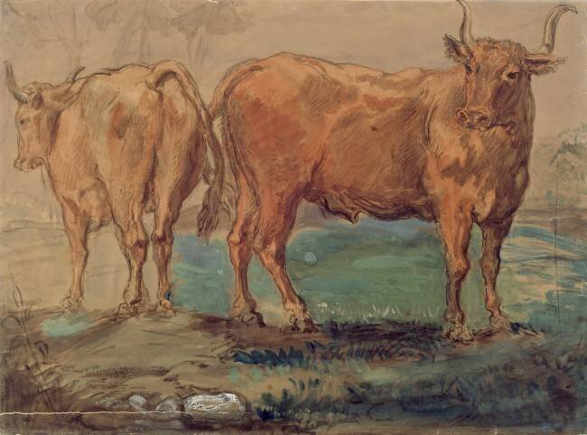 Deux taureaux dans la campagne Théodore Chasseriau
