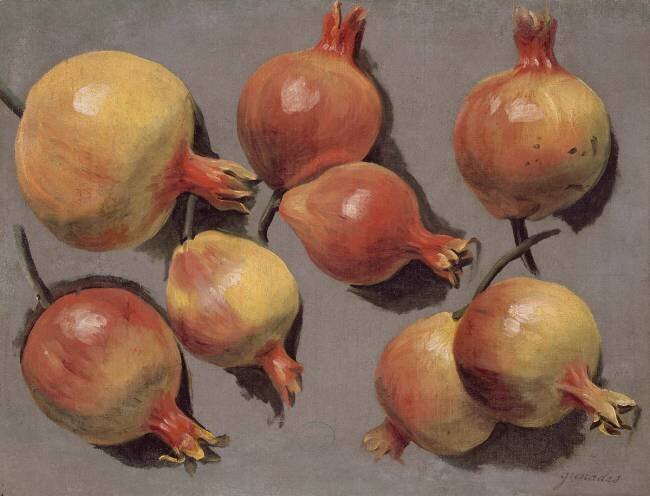 Etude de grenades Alexandre-François Desportes