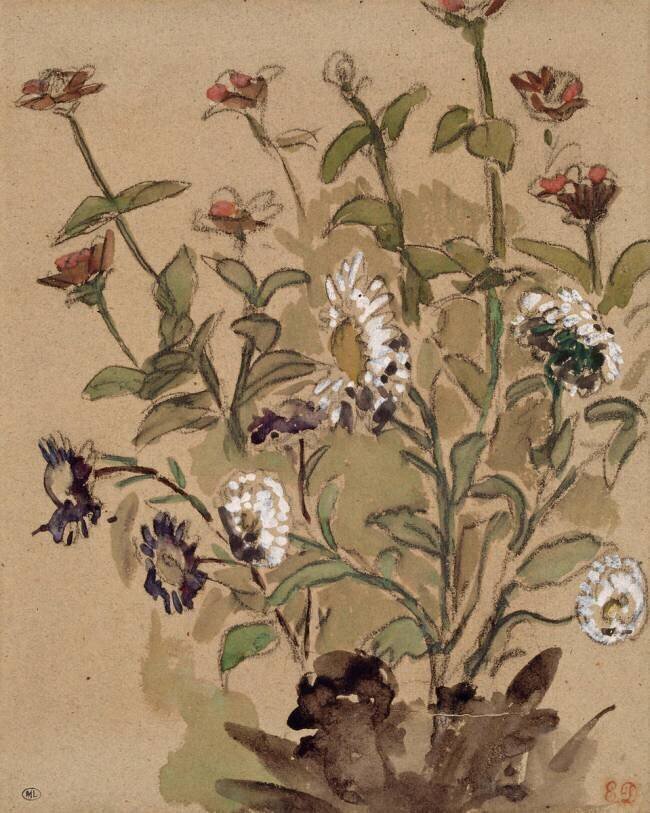 Etudes de fleurs Eugène Delacroix