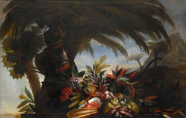 Fruits et fleurs d'Afrique Jean Baptiste Belin