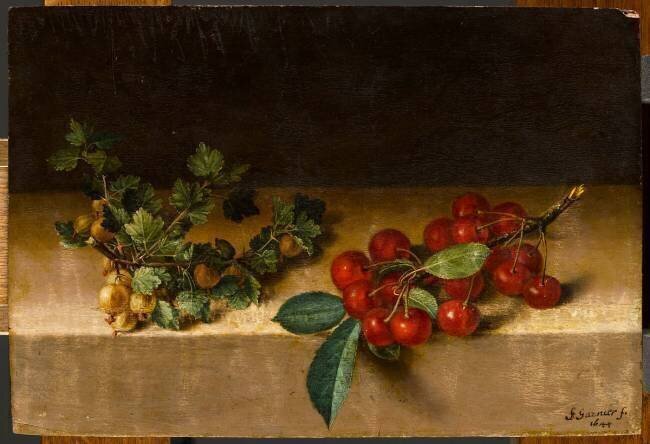 Fruits sur une table : groseilles à maquereau et cerises François Garnier