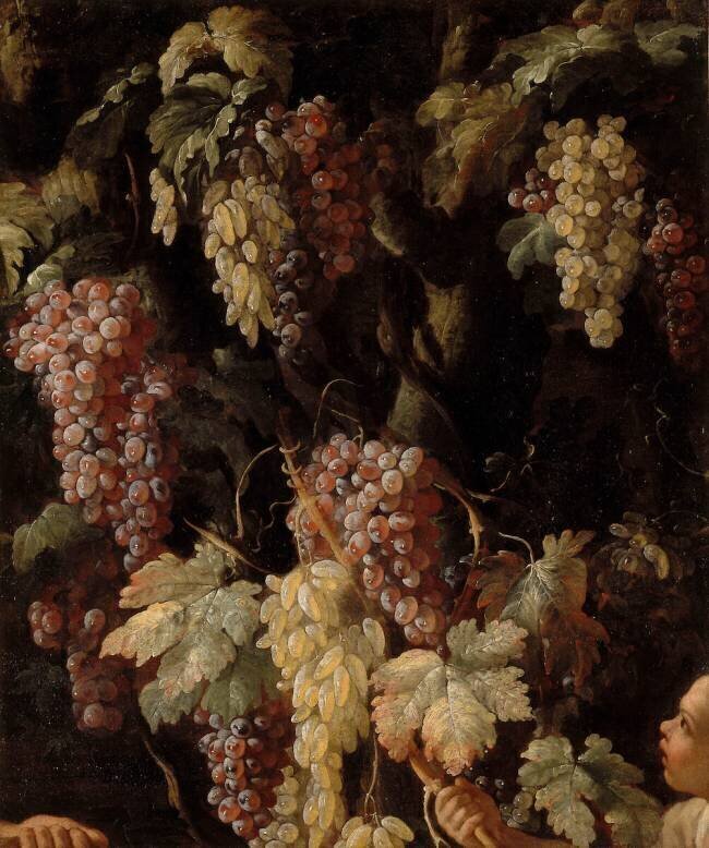 Grappes de raisins autour d'un tronc d'arbre Giovanni Battista Ruoppolo