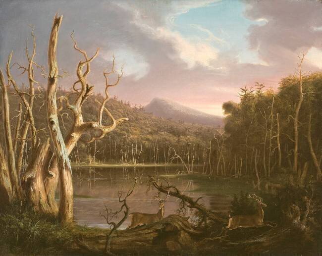 Lake with Dead Trees Thomas Cole