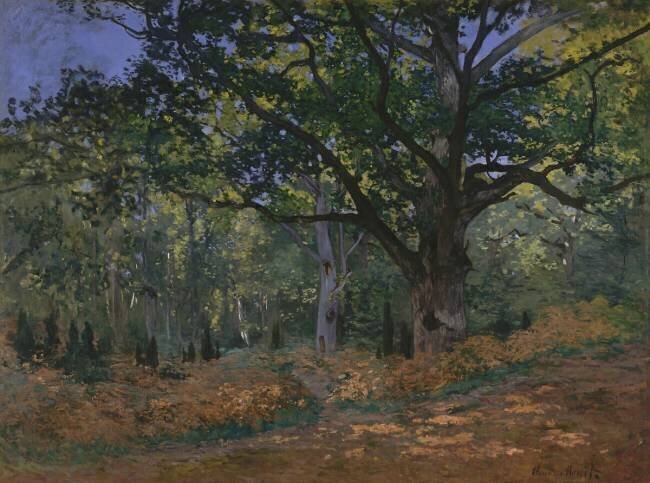 Le Chêne de Bodmer, La Route de Chailly Claude Monet