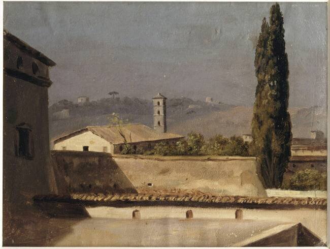 Le cyprès Pierre Henri de Valenciennes