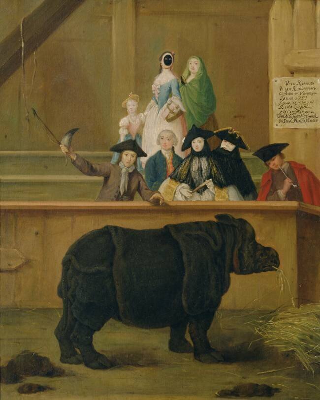 Le Rhinocéros Pietro Longhi