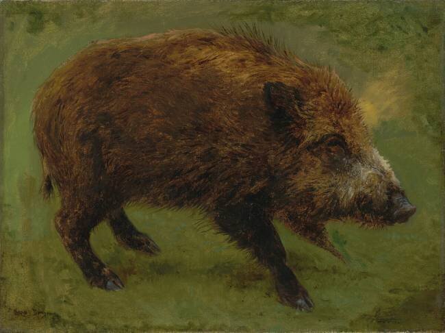 Le sanglier Rosa Bonheur