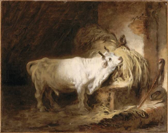 Le Taureau blanc à l'étable Jean-Honoré Fragonard
