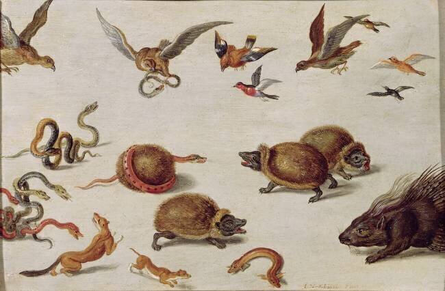 Les ennemis des serpents Jan van Kessel