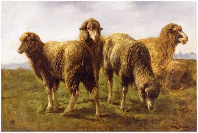 Moutons broutant dans une prairie Rosa Bonheur