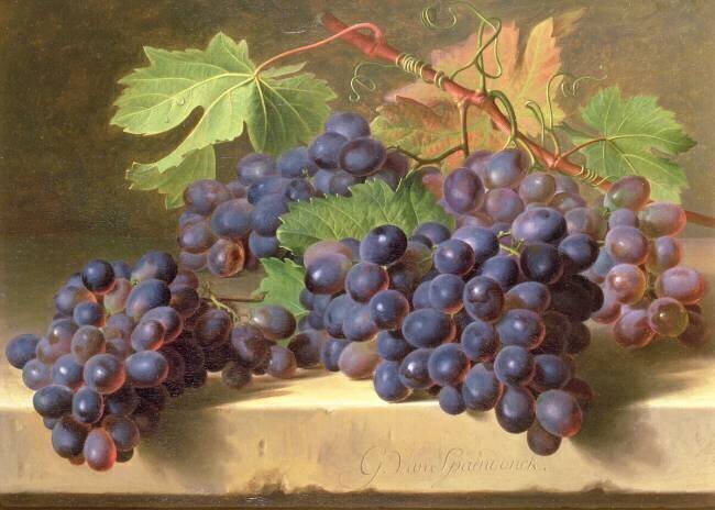 Nature Morte de Grappes reposant sur un Rebord en Marbre Gérard van Spaendonck