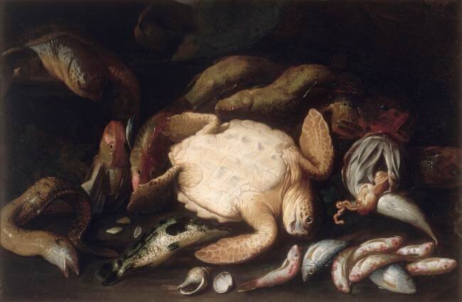 Nature-morte à la tortue et aux poissons anonyme