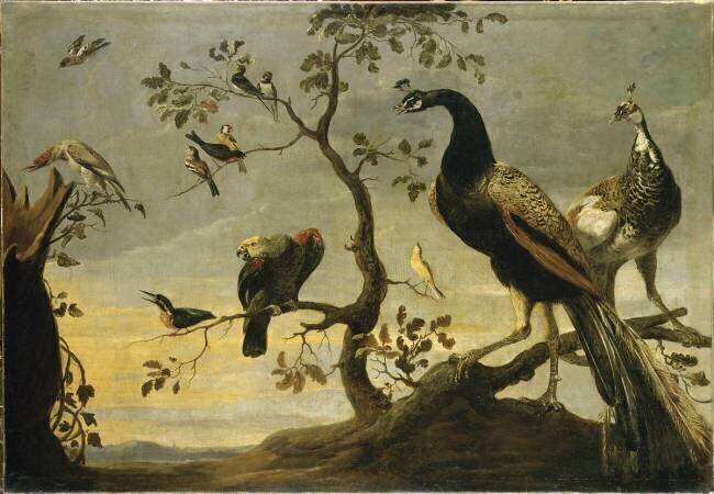 Oiseaux sur des branches Frans Snyders