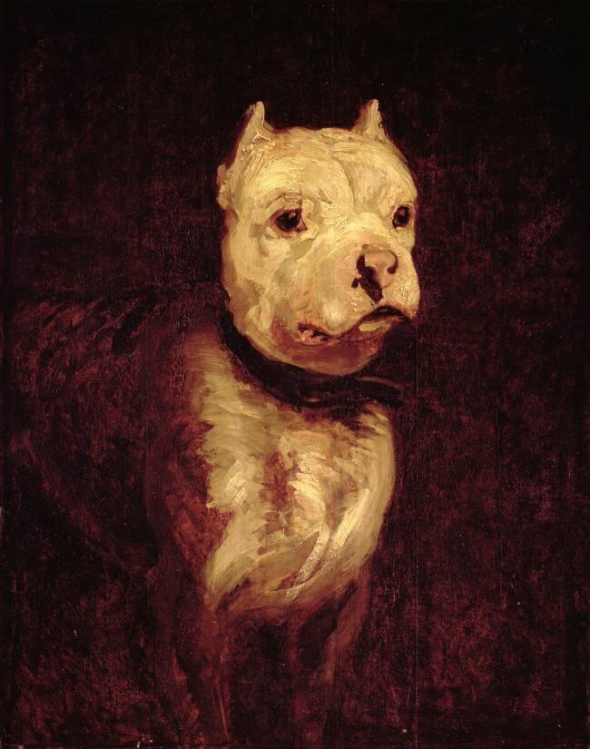 Portrait d'un bulldog Théodore Géricault