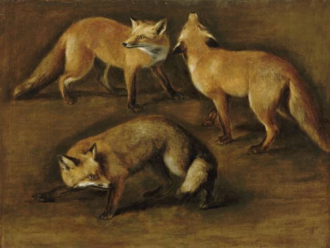 Renards Pieter Boel
