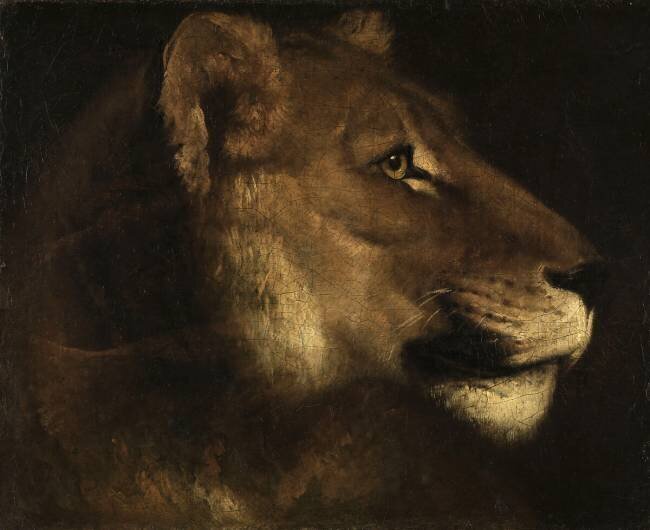 Tête de lionne Théodore Géricault