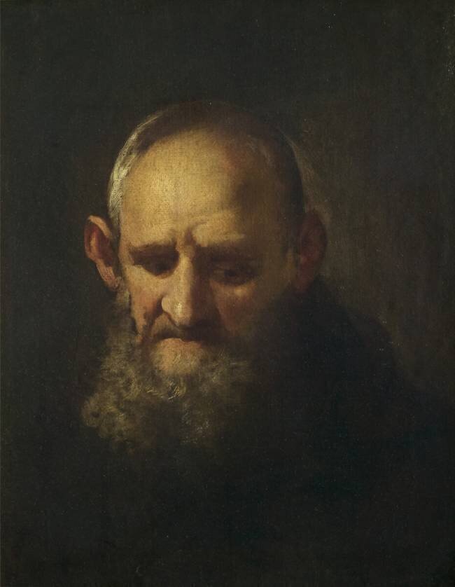 Tête d'un capucin Richard Wilson