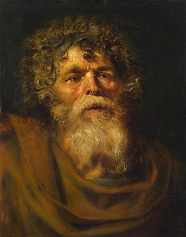 Tête d'un vieil homme Pierre Paul Rubens