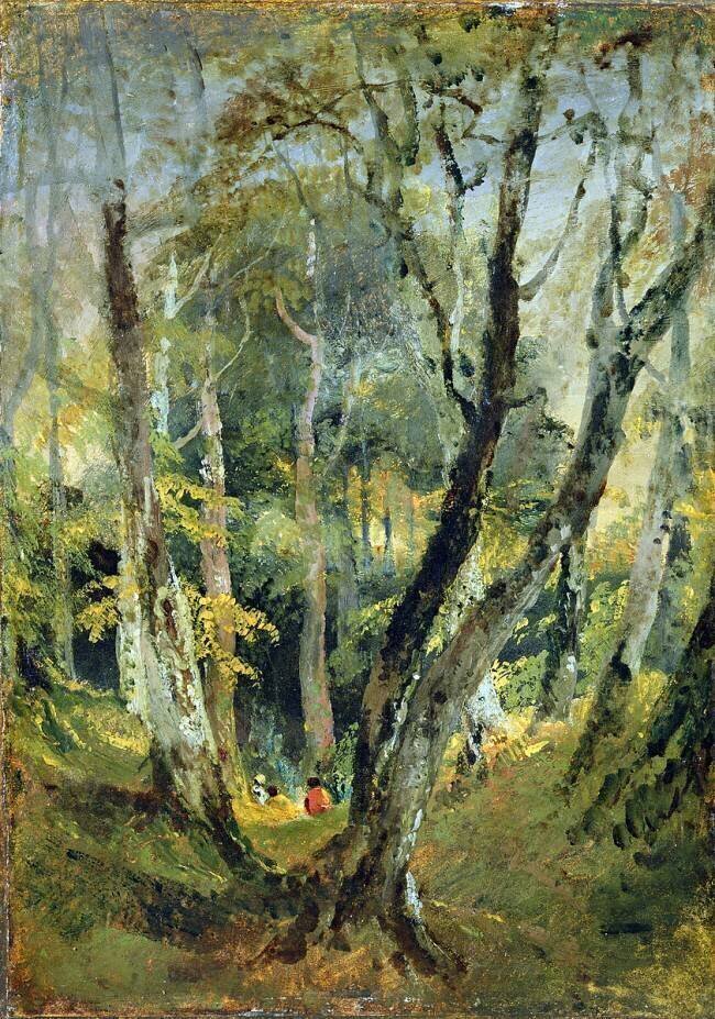 Un bois de hêtres avec des gitans assis au loin Joseph Mallord William Turner