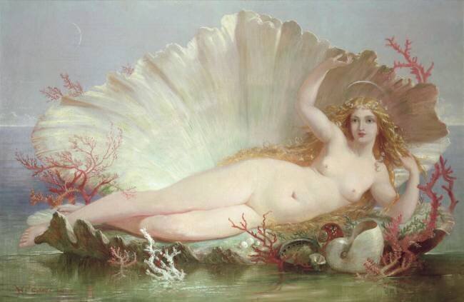 Venus Henry Courtney Selous