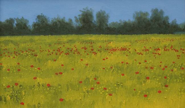 Champ jaune avec des coquelicots Alan Byrne