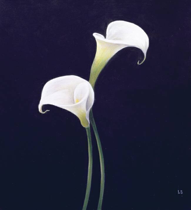 Lys Lincoln Seligman