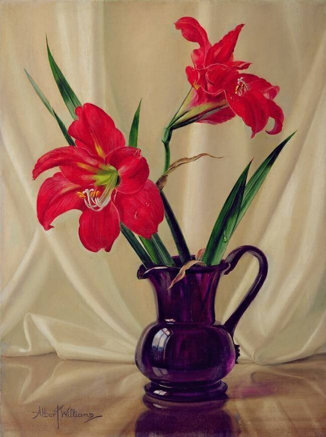 Lys d'Amaryllis Albert Williams
