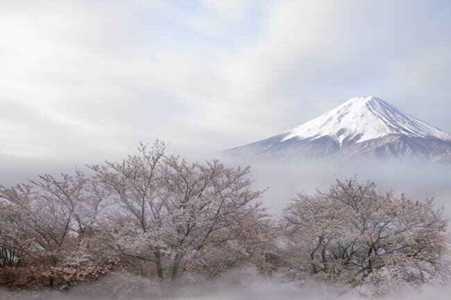 Mt.Fuji au printemps Ikuo Iga