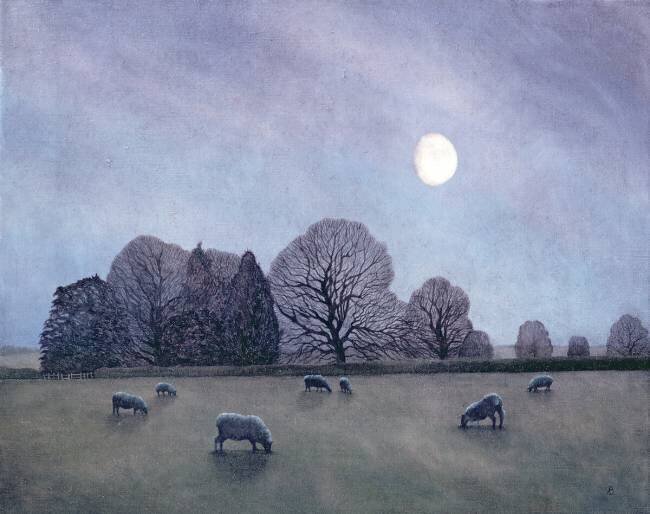 Nuit au clair de lune Ann Brain