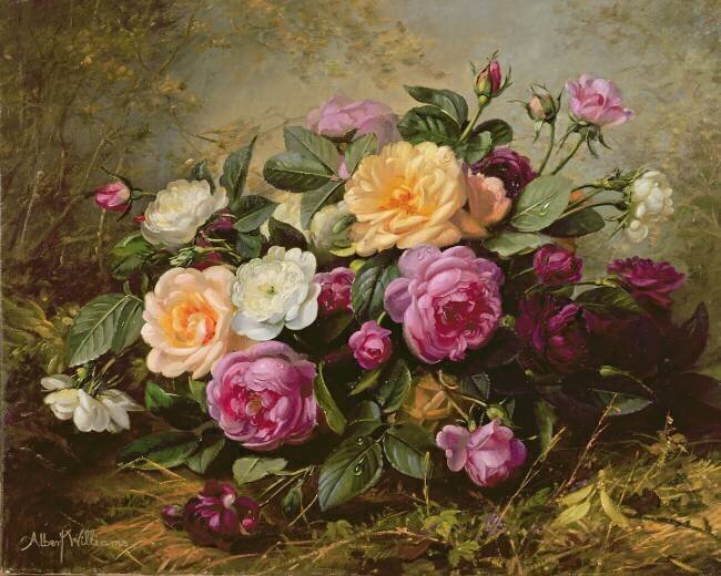 Roses épanouies Albert Williams