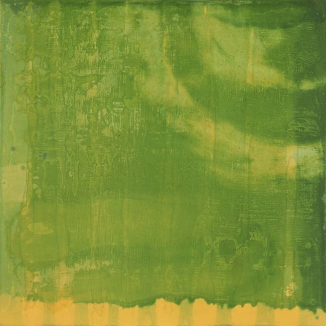 Vert Bleu Charlotte Johnstone