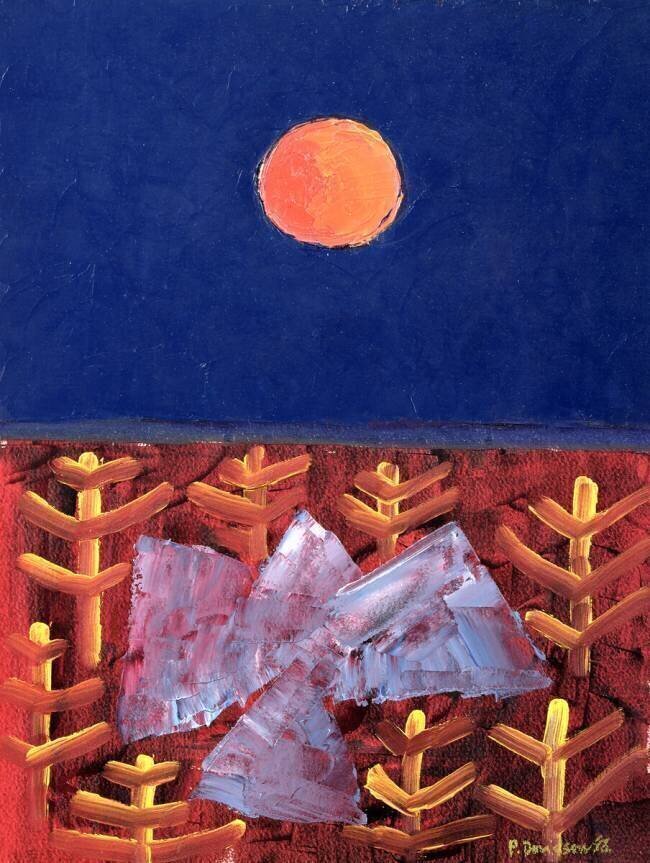 Voyage vers le soleil Peter Davidson