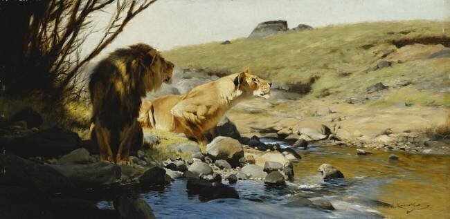 Un lion et une lionne au bord d'un ruisseau Wilhelm Kuhnert