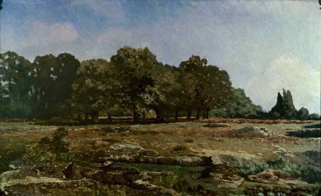 Allée de châtaigniers à la Celle-Saint-Cloud Alfred Sisley