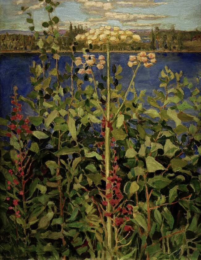 Angélique sauvage Akseli Gallen-Kallela