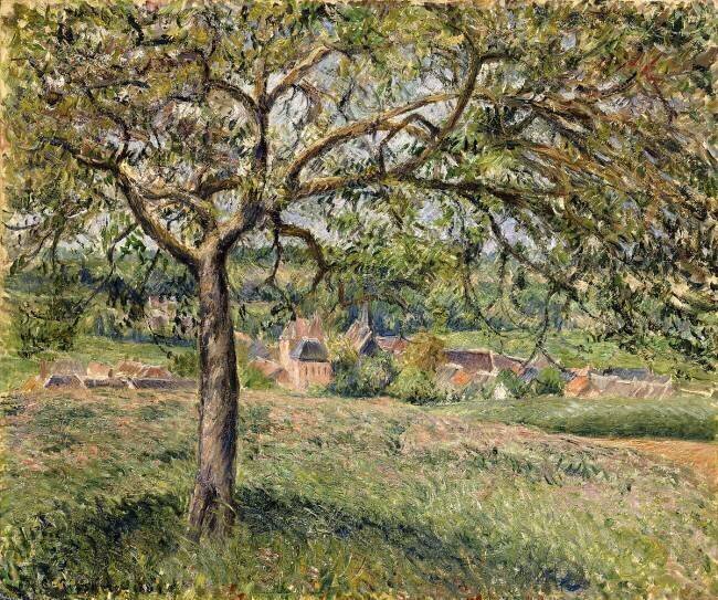Apple Tree in Eragny Camille Pissarro