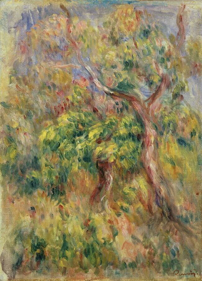 Arbres Auguste Renoir