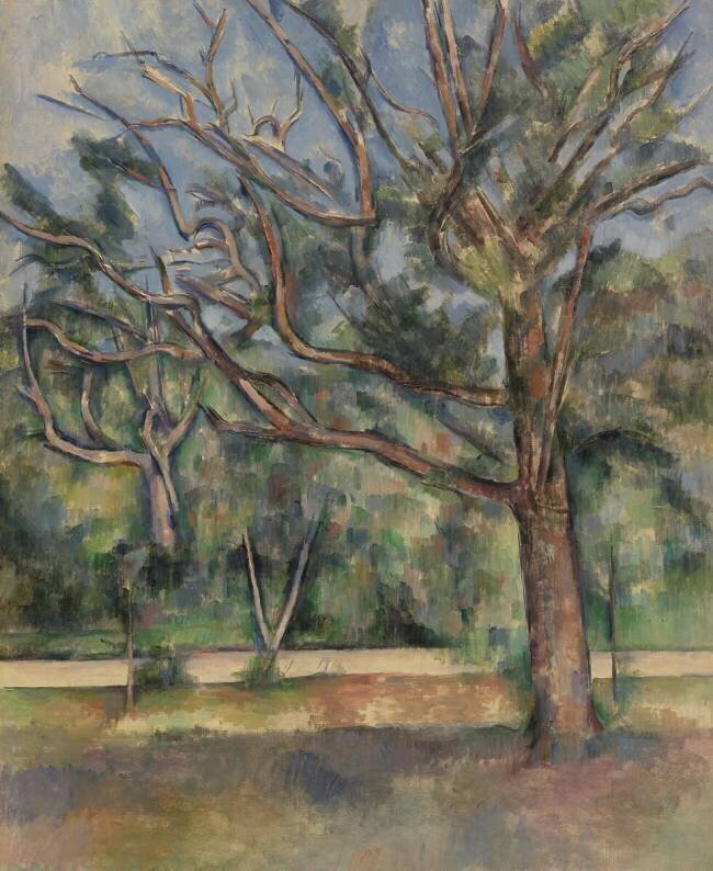 Arbres et route Paul Cézanne