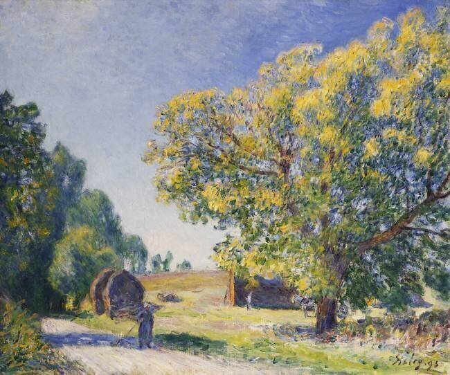 Around the Forest Alfred Sisley
