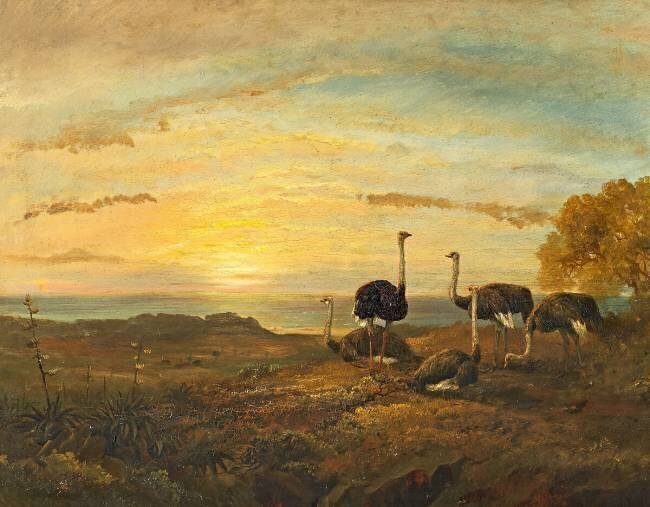 Autruches dans un paysage côtier au coucher du soleil Charles Rolando